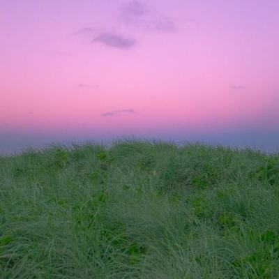 Anthropic：安全防护机制可在操作执行前进行监控。
